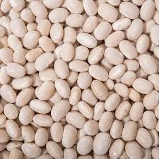 Продаємо насіння квасолі з гарантією викупу врожаю Днепр (Днепропетровск) - изображение 1