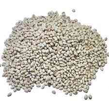 Насіння квасолі Червона Шапочка, Неві Бінс, Ред Кідні, Пінто Черкассы