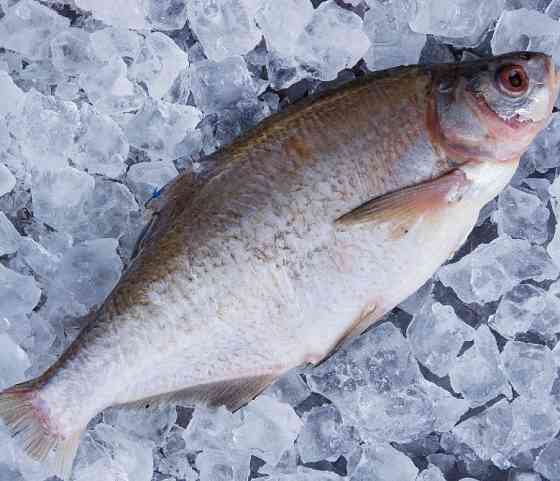 Куплю лящ, плітку ( тарань ), густера, синець по всій Україні. Гурт. Черкассы