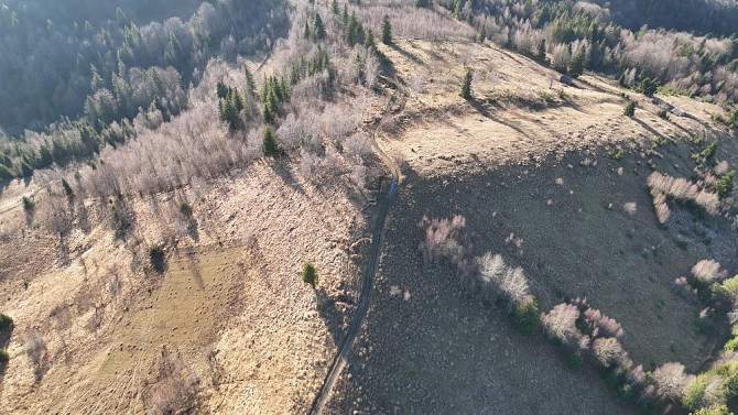 Земельна ділянка у Микуличині 0.76 га Яремче - зображення 6