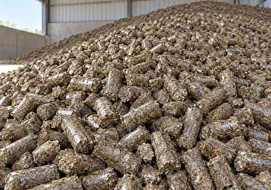 AGRO FOND: pelleted dried distillers grains for export Львов