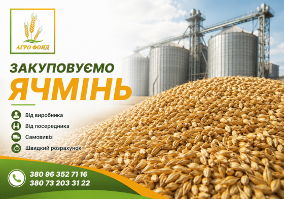 Закупівля ячменю по Україні | Купимо ячмінь від виробника та посередника Броды