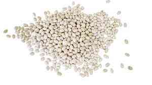 Закуповуємо квасолю для переробки Ивано-Франковск