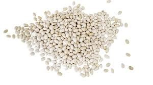 Закуповуємо квасолю для переробки Ивано-Франковск - изображение 1