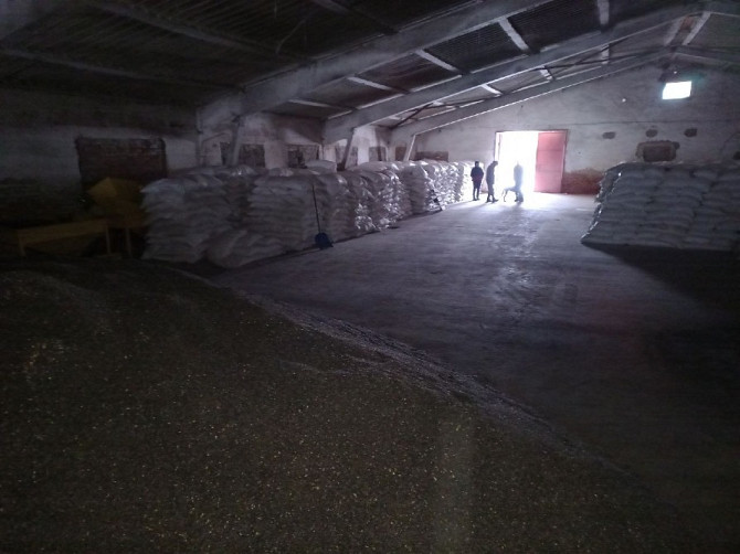 Продається діючий елеваторний комплекс з залізничною гілкою. Балта - изображение 9
