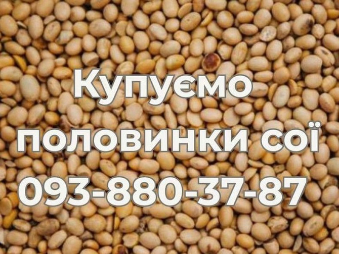 Купівля половинок сої на постійній основі Хмельницкий - изображение 1
