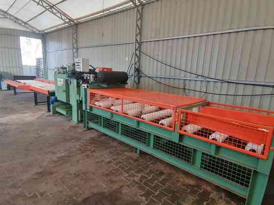 Багатопильна лінія для розкрою з центрувальним столом і вивантаженням дощок Київ