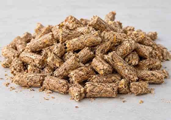 Fuel pellets from grain processing waste — USD 147 / EUR 130 per MT Львов