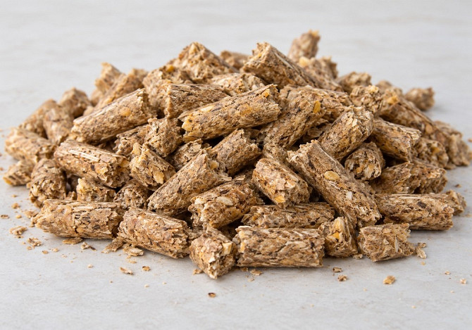 Fuel pellets from grain processing waste — USD 147 / EUR 130 per MT Львів - зображення 1