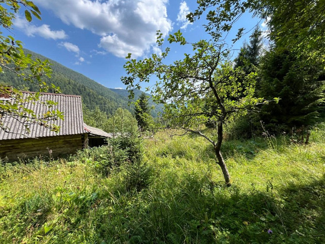 Земельна ділянка в Татарові біля водоспаду Гук 0.25 га Яремче - изображение 6