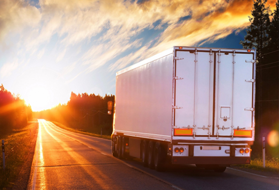 Потрібен водій C+E | Німеччина–Бенілюкс–Італія | стабільна робота Винница