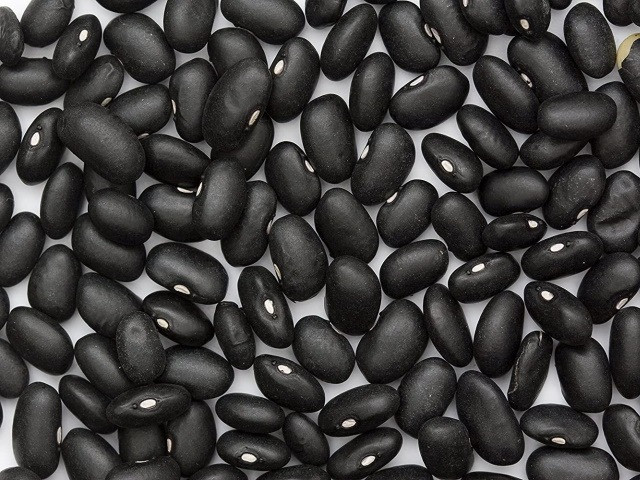 Купити квасолю. Квасоля в наявності. Продаж квасолі. Кропивницкий (Кировоград) - изображение 1