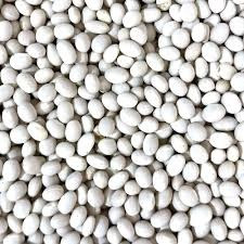 Продаж насіння квасолі. Посівний матеріал квасолі. Сумы - изображение 1