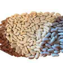 Квасоля на посів. Гарантований збут врожаю Луцьк