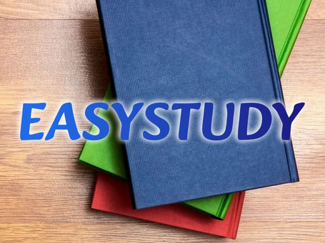 Замовити розробку стартапу до дипломної роботи в Україні Київ - зображення 1