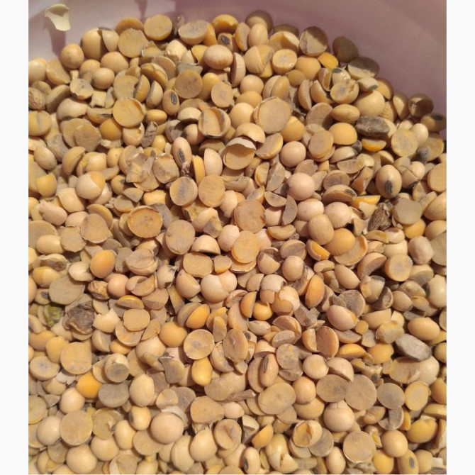 Постійно приймаємо половинки сої Черкассы - изображение 1