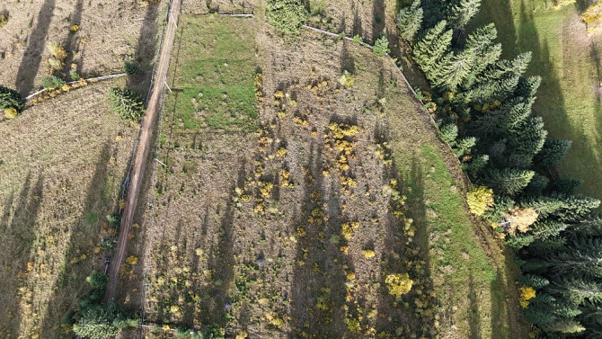 Земельна ділянка в Яблуниці 0.51 га Яремче - зображення 8