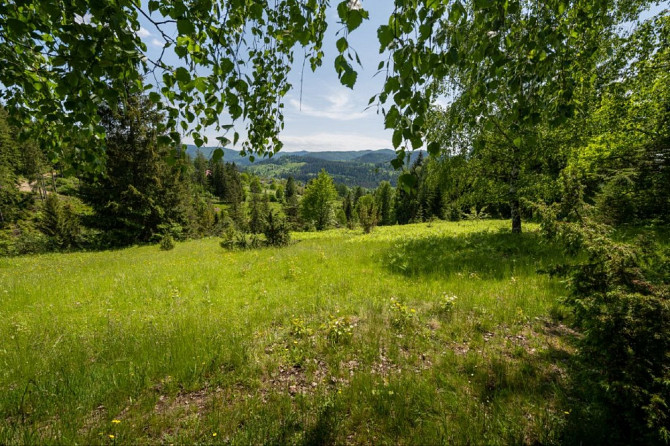 Земельна ділянка в Микуличині 1.29 га Яремче - изображение 8