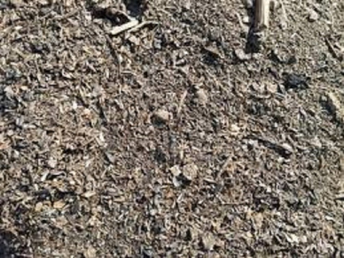 Куплю деловые отходы подсолнечника, рапса. Скупка сора. Полтава - зображення 1