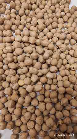 Продам нут (Cicer arietinum, турецький горох) - 4.5т. Винница