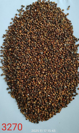 Продам сорго біле, червоне - 750т., с/г виробник. Київ - зображення 4