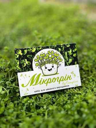 Еко-рішення: корпоративні подарунки на 8 березня з логотипом вашої компанії Житомир