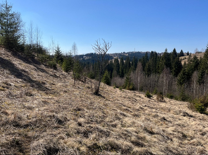 Земельна ділянка в Яблуниці 0.25 га Яремче - зображення 9