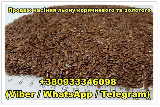 Продаж насіння льону оптом — коричневий та золотий Одеса