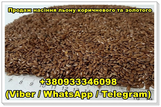 Продаж насіння льону оптом — коричневий та золотий Одеса - зображення 1