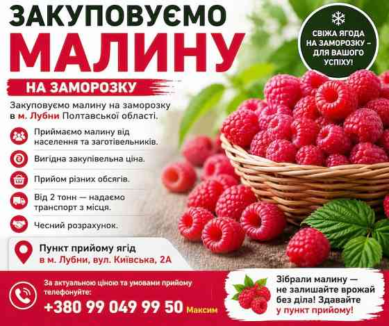 Приймаємо малину на заморозку Київ