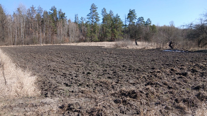 Земельна ділянка 30 соток. КИЇВСЬКА ОБЛ. Богуслав - зображення 4