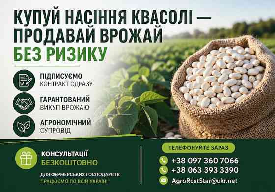 Насіння квасолі білої з гарантією викупу врожаю Львов