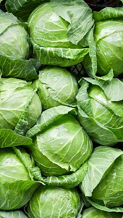 Продам овочі, картоплю, капусту, лук, буряк, моркву по оптовій ціні, доставка Одесса - изображение 5