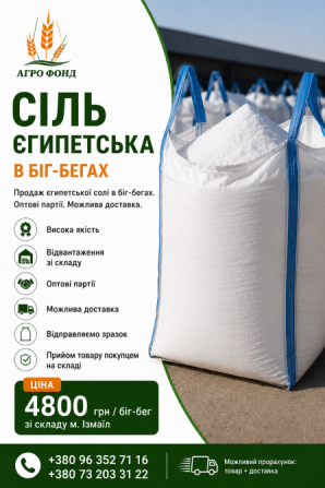 Єгипетська сіль в біг-бегах | Продаж зі складу Броды - изображение 1