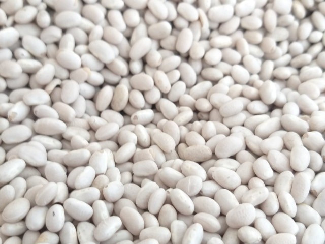 Пропонуємо квасолю від виробника Житомир - изображение 1