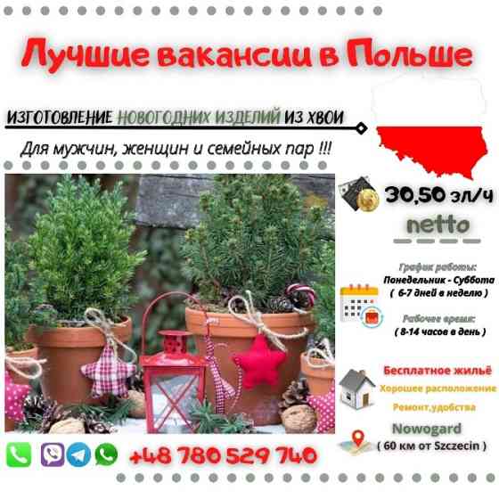 Изготовление новогодних изделий из хвои Киев