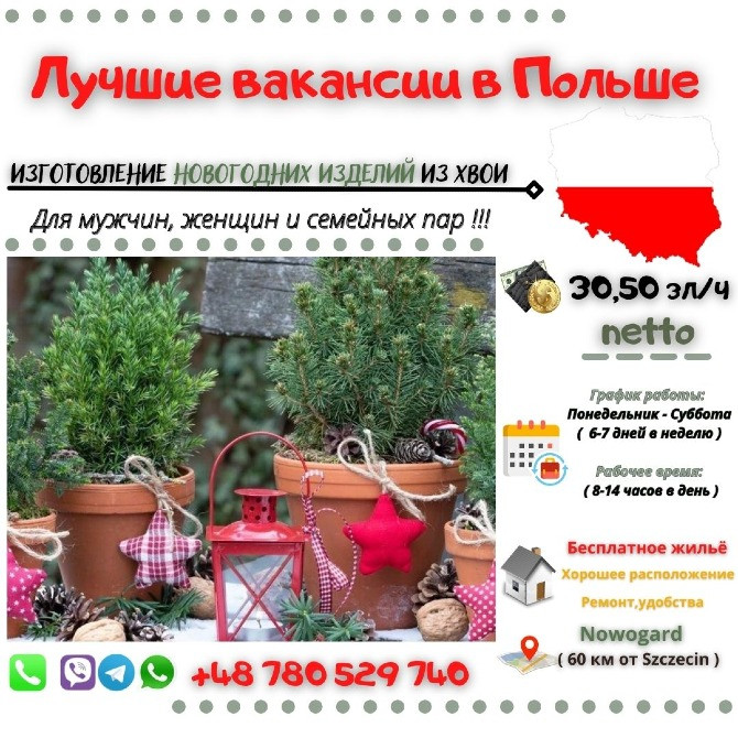 Изготовление новогодних изделий из хвои Киев - изображение 1
