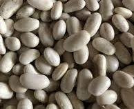 Насіння квасолі Неві Бінс, Червона довга, Пінто, Червона Шапочка. Запорожье - изображение 1