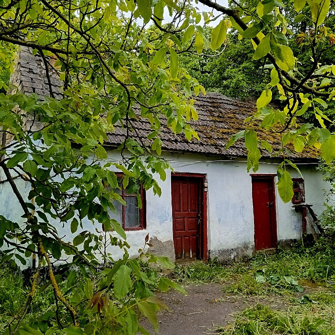 Продається будинок в с.Куропатники Бережани - зображення 3