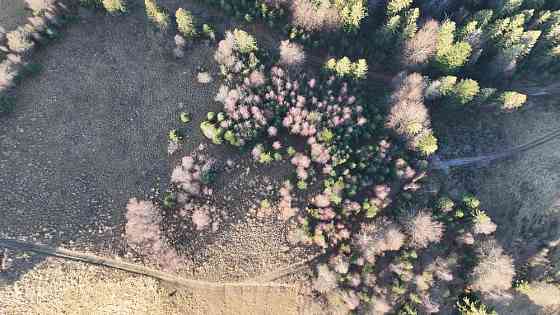 Земельна ділянка у Микуличині 0.76 га Яремче