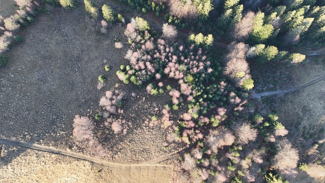 Земельна ділянка у Микуличині 0.76 га Яремче - зображення 3