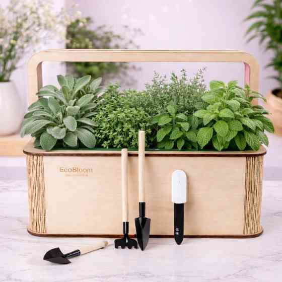 Квітучі подарункові набори на 8 березня. EcoBloom Житомир