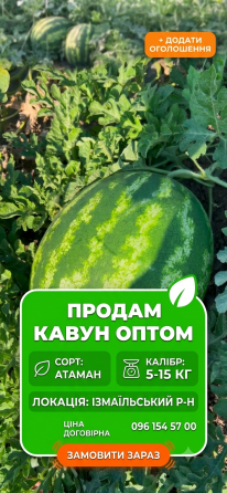 Продам кавун Кілія
