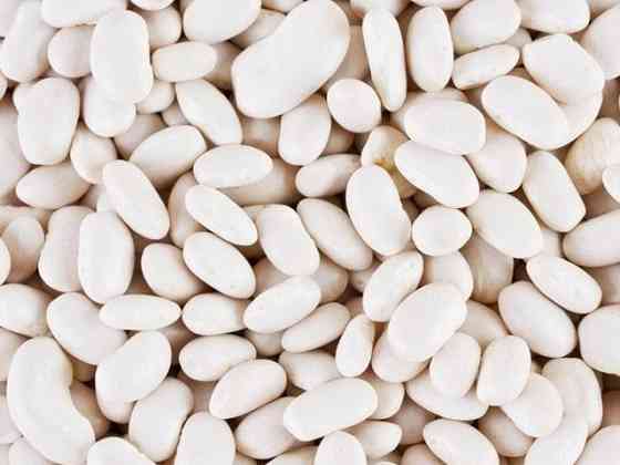 Продаж високоякісної квасолі відбірних сортів Хмельницкий