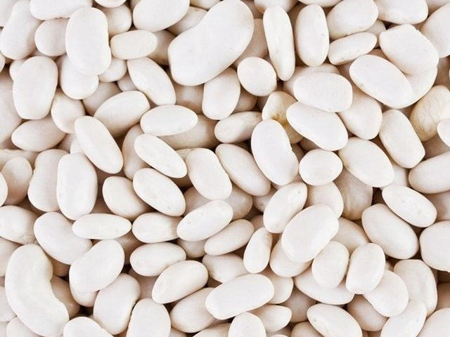 Продаж високоякісної квасолі відбірних сортів Хмельницкий - изображение 1