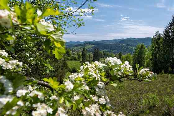 Земельна ділянка в Микуличині 1.29 га Яремче