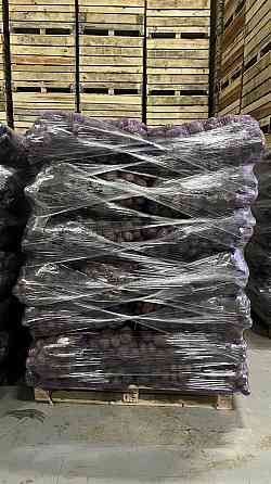 Картопля товарна сорт Мелоді Сорая Белароса Гуртом, Якість ПДВ /без ПДВ Львов