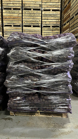 Картопля товарна сорт Мелоді Сорая Белароса Гуртом, Якість ПДВ /без ПДВ Львов - изображение 3