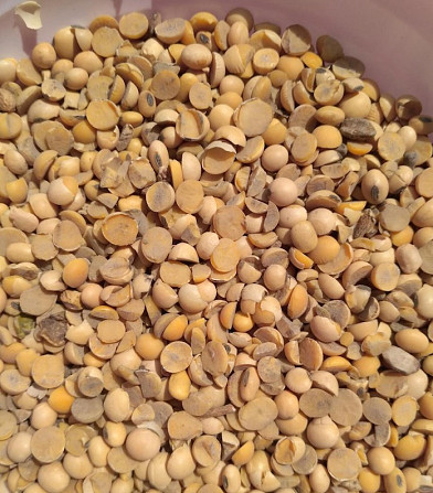 Половинки сої куплю Черкассы - изображение 1