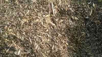 Купимо зерновідходи та некондиційне зерно. Самовивіз по Україні Чернигов